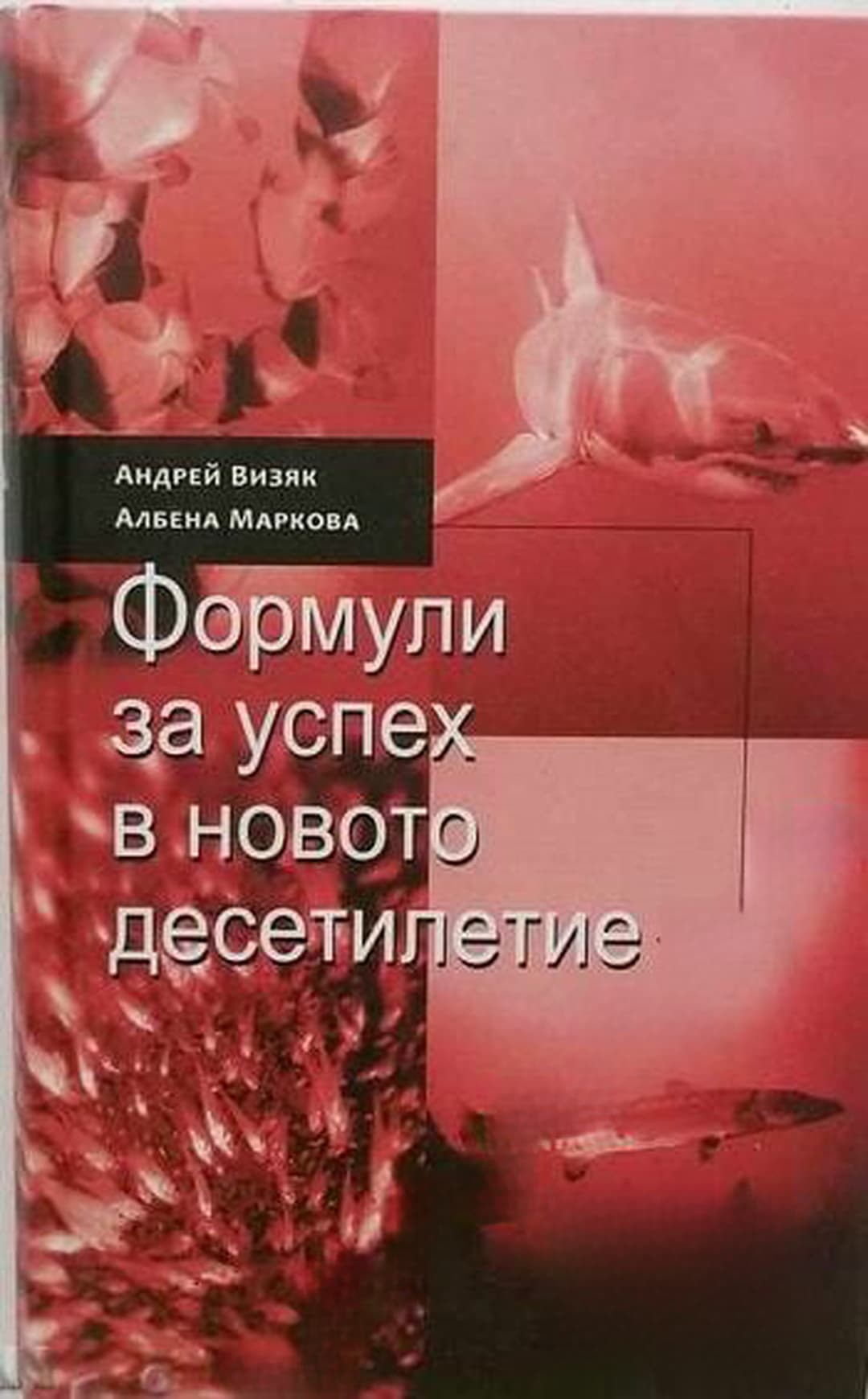 Формули за успех в новото десетилетие — корица