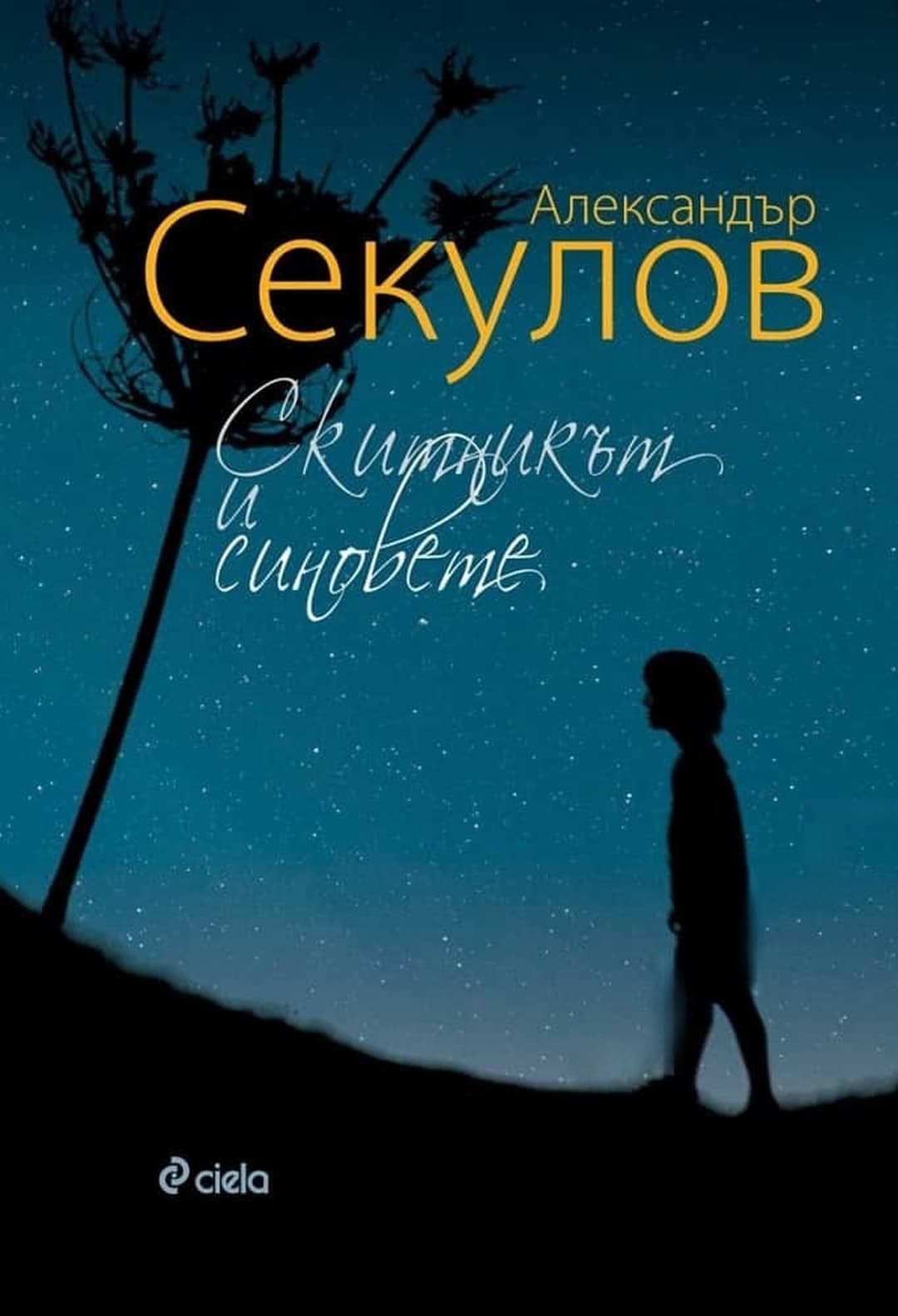 Скитникът и синовете — обложка