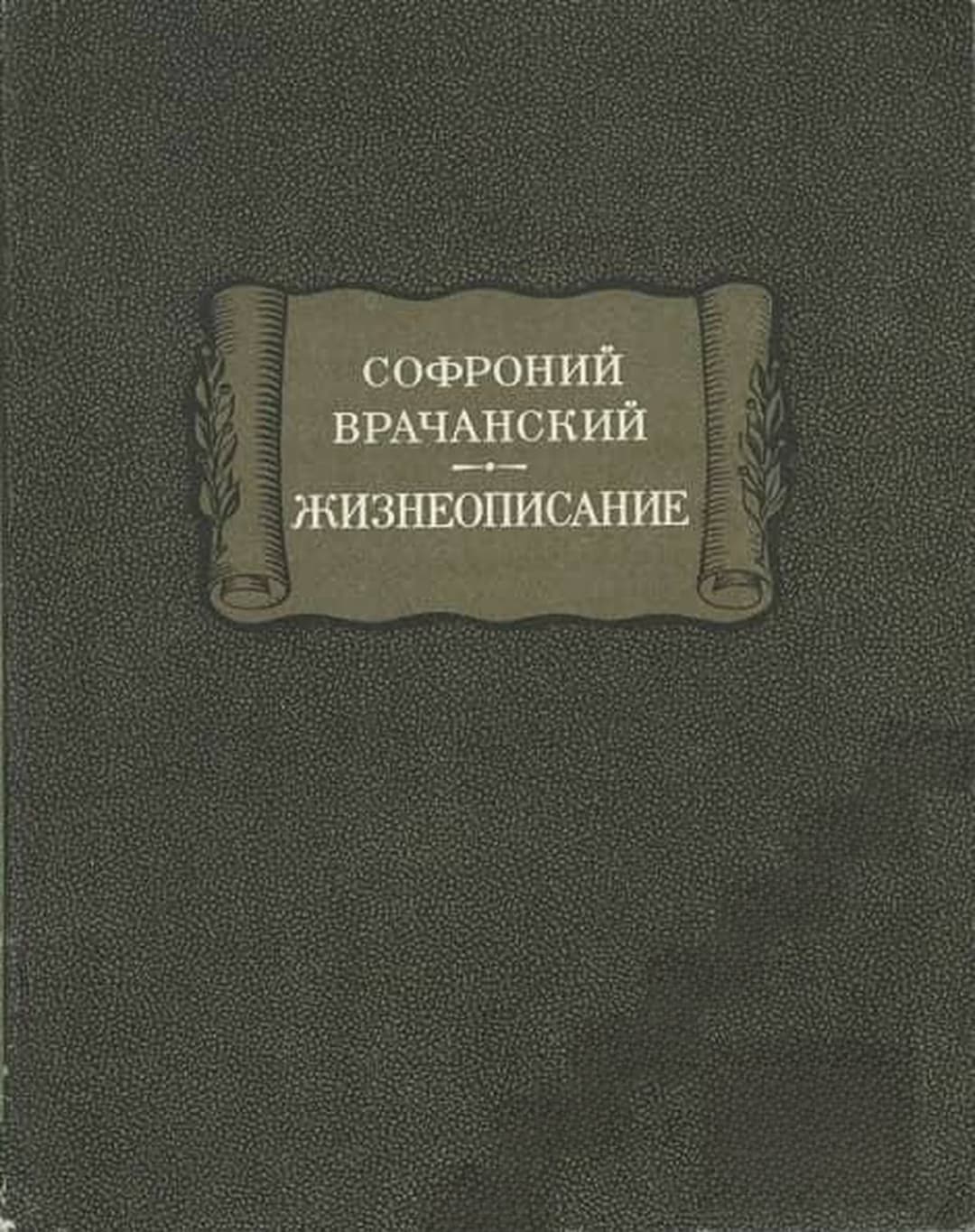Жизнеописание — обложка