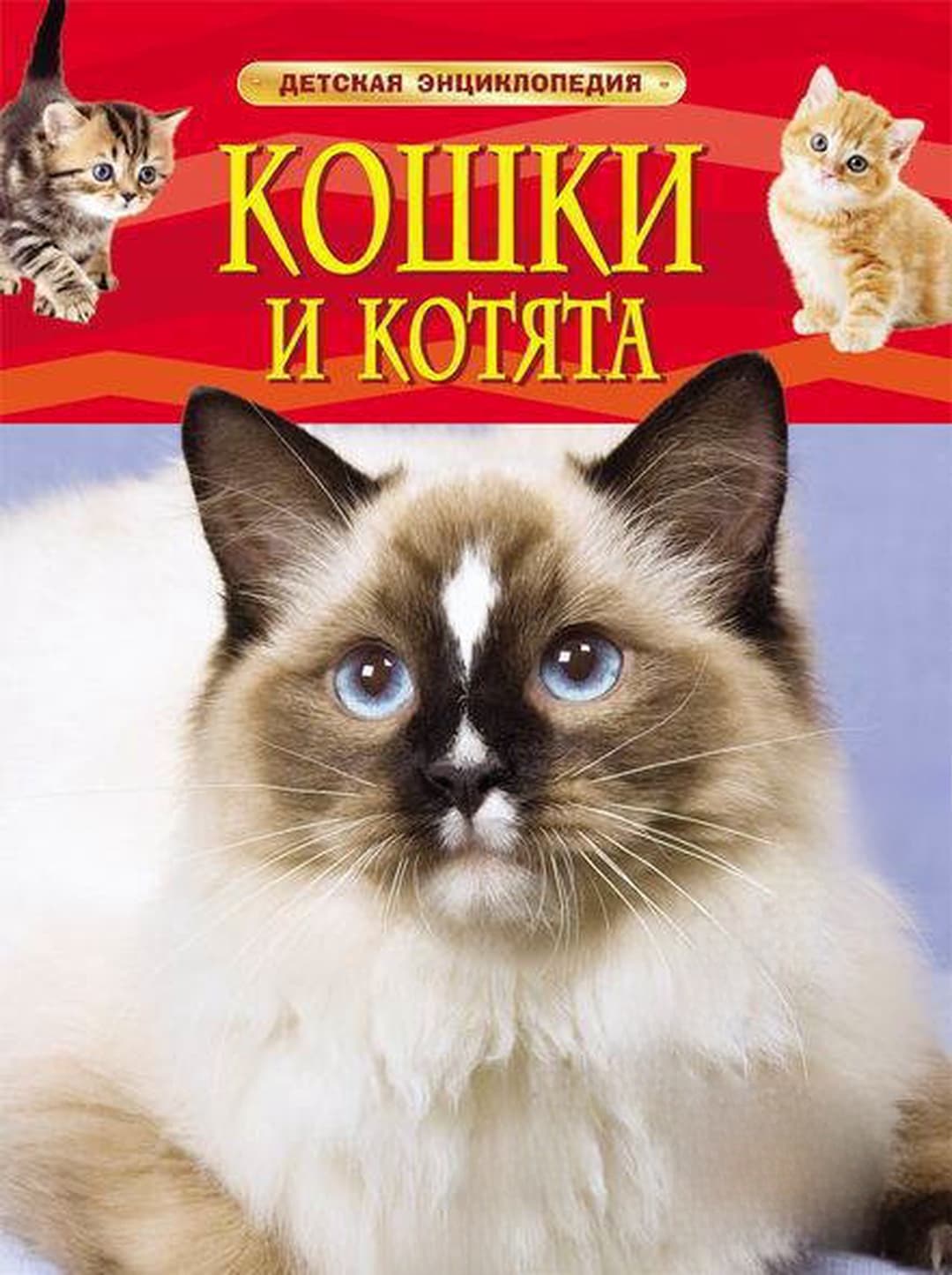 Кошки и котята. Детская энциклопедия — cover