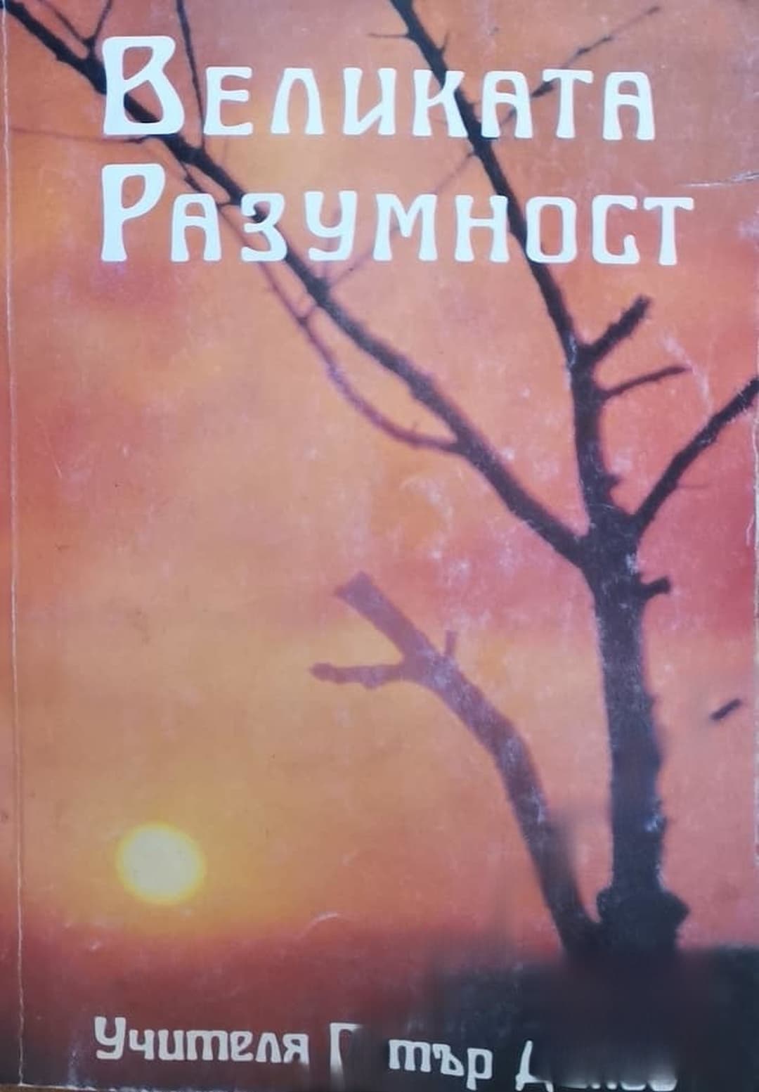 Великата разумност — cover