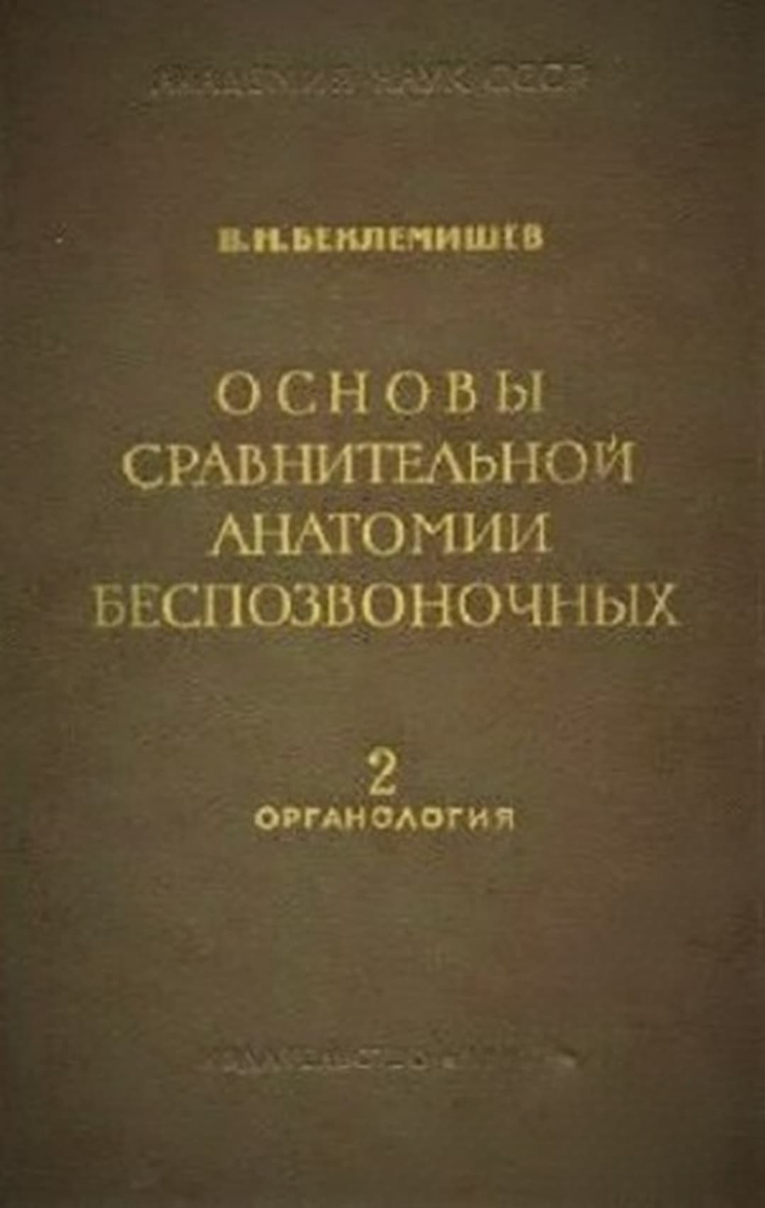 Основы сравнительной анатомии беспозвоночных. Том 2: Органология — cover