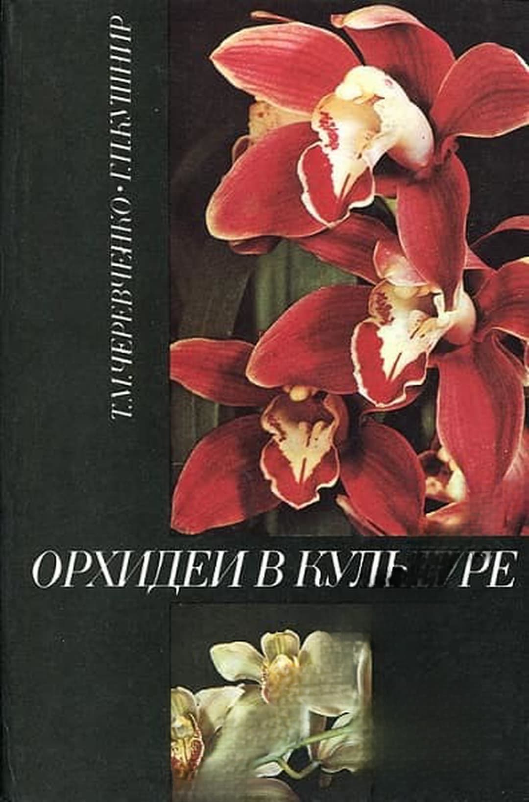 Орхидеи в культуре — обложка