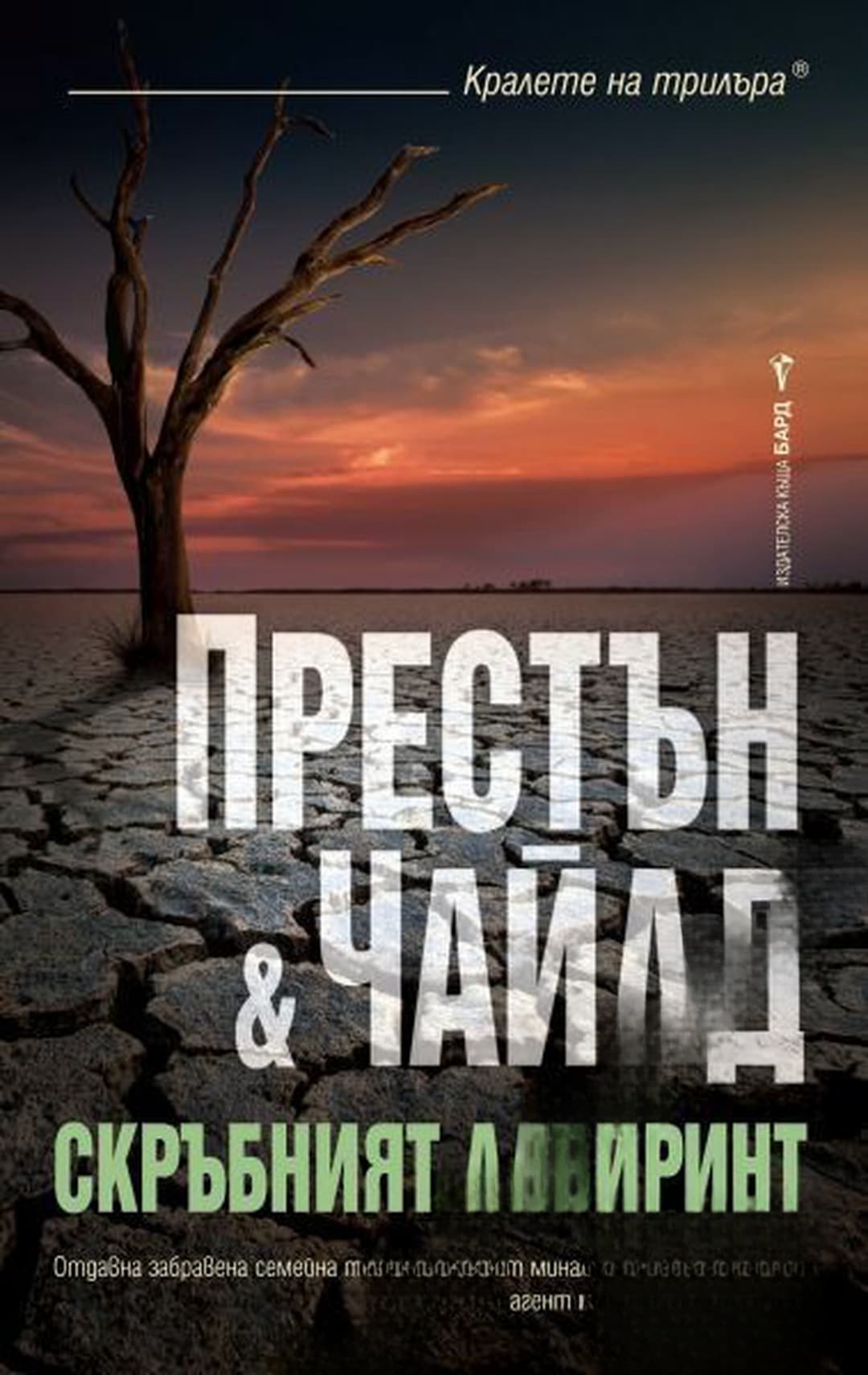 Скръбният лабиринт — cover