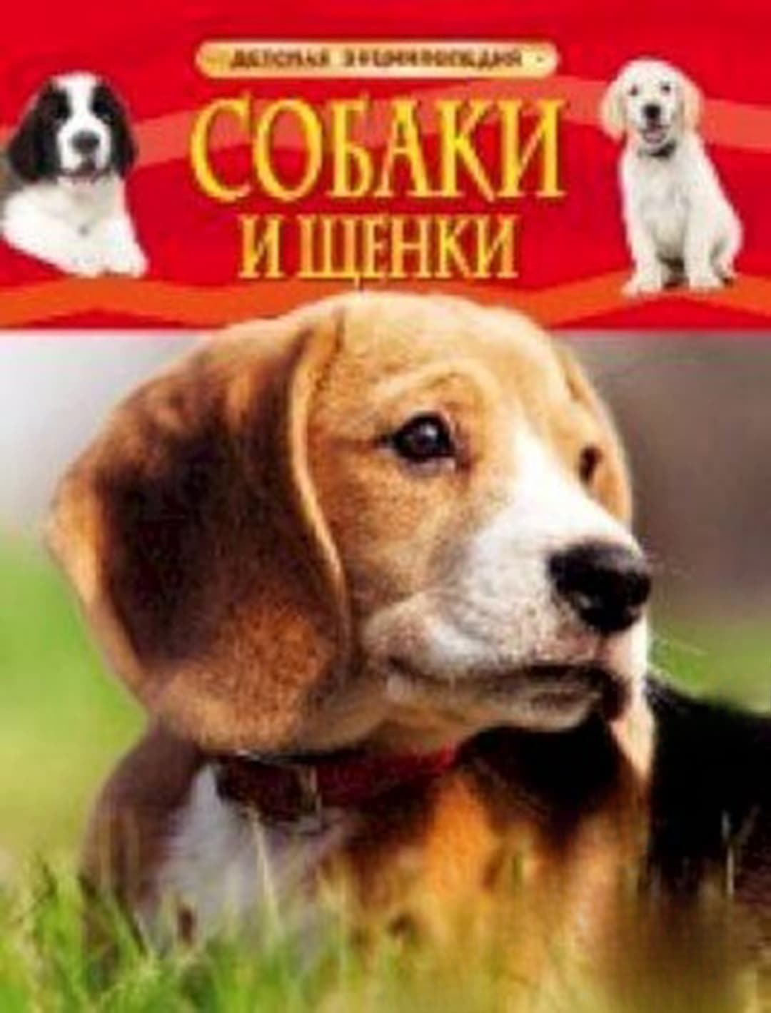 Собаки и щенки. Детская энциклопедия