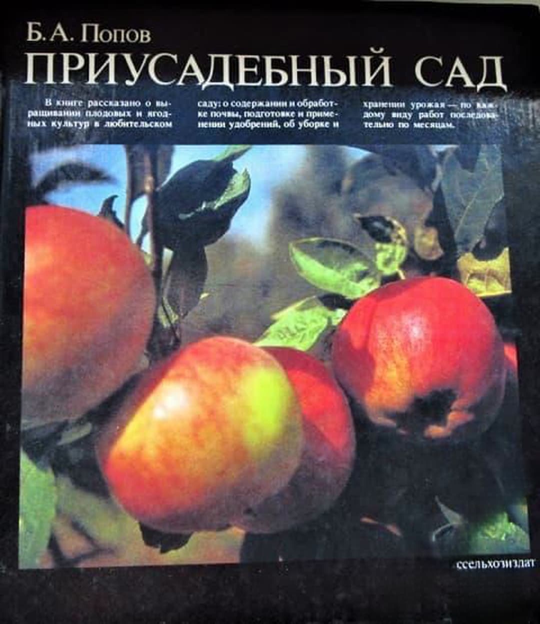 Приусадебный сад — обложка
