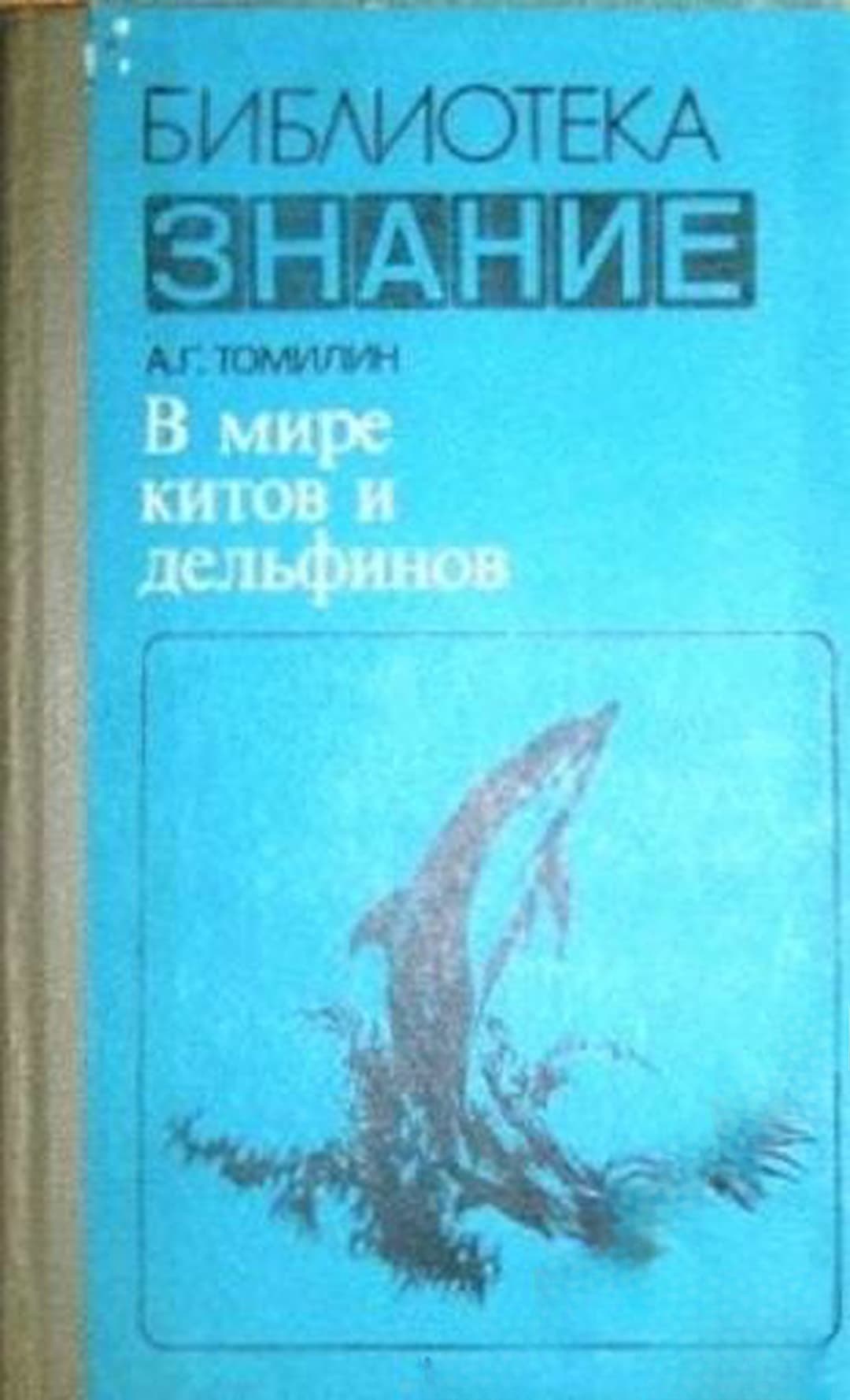В мире китов и дельфинов — cover